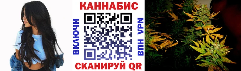 Купить закладки  Морозовск  Конопля AK-47 
